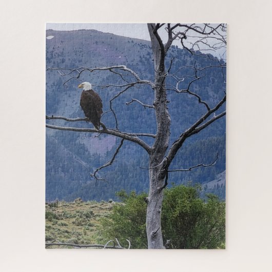 On Watch Jigsaw Puzzle ジグソーパズル (縦)