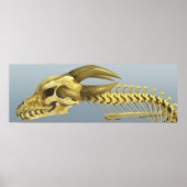 Once A Dragon ポスター (正面)