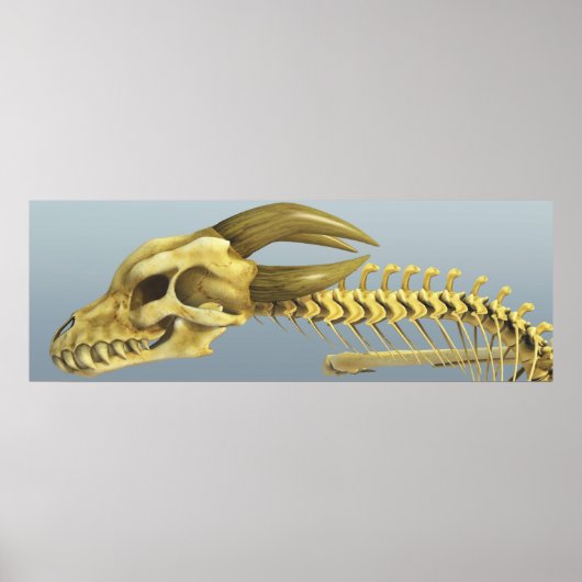 Once A Dragon ポスター (正面)