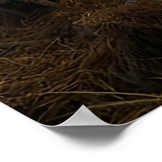 Once Upon a Time ポスター (角)