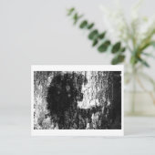 Once upon a time in the woods ポストカード (スタンド正面)