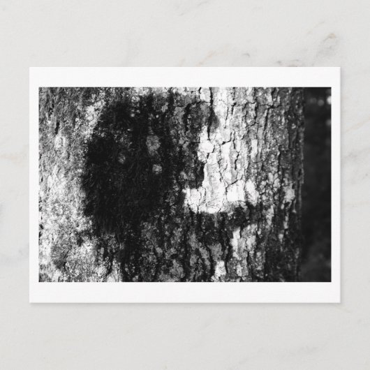 Once upon a time in the woods ポストカード (正面)