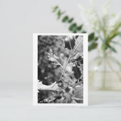 Once upon a time in the woods ポストカード (スタンド正面)