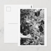 Once upon a time in the woods ポストカード (正面/裏面)