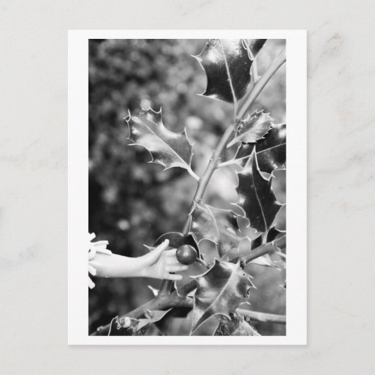 Once upon a time in the woods ポストカード (正面)