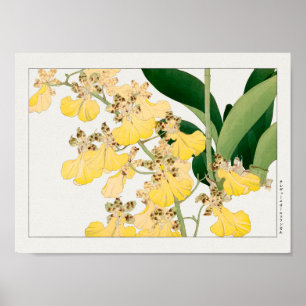 Oncidium by谷上湖南 ポスター