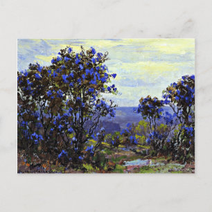Onderdonk – マウンテンローレルイン開花カード ポストカード