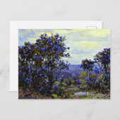 Onderdonk – マウンテンローレルイン開花カード ポストカード (正面/裏面)