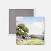 Onderdonk – ライブオークの朝，ブーン，テキサス州 マグネット (正面/裏面)