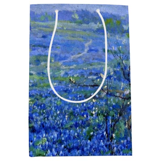 Onderdonk – 曇り日、Bluebonnets San Antonio ミディアムペーパーバッグ (正面)