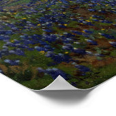Onderdonk - Bluebonnetsのフィールド1920 ポスター (角)