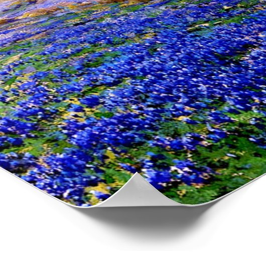 Onderdonk - Bluebonnets at Twilight ポスター (角)