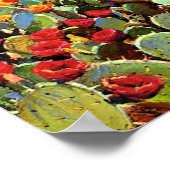Onderdonk - Cactus in Bloom ポスター (角)