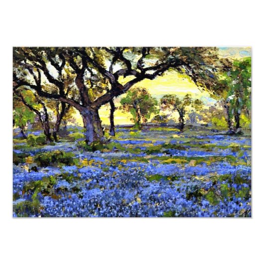 Onderdonk - Old Live Oak Tree and Bluebonnets フォトプリント (正面)