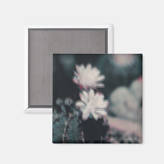 One マグネット (正面/裏面)