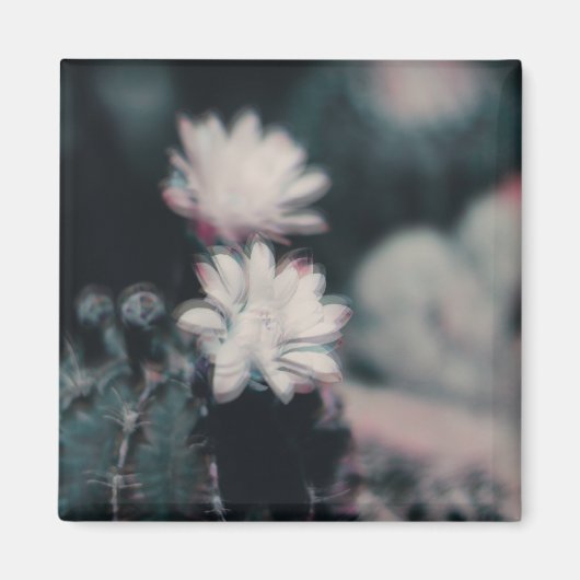 One マグネット (正面)