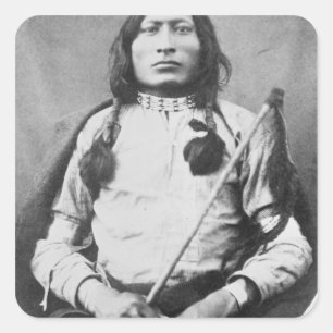 One Bull Warrior, 1882 (B/w写真) スクエアシール