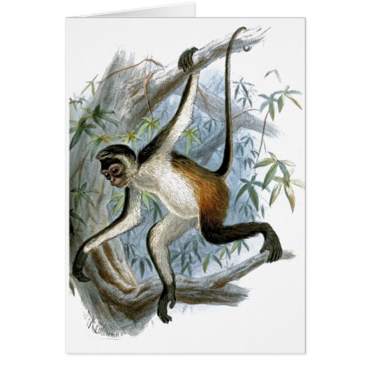 One Cheeky Monkey CC0366子供のカード (正面)