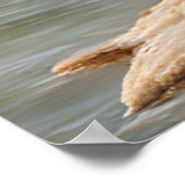 One Day in the Woods ポスター (角)