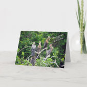 One In A Crowd - Anhinga Family Greeting Card カード (正面)