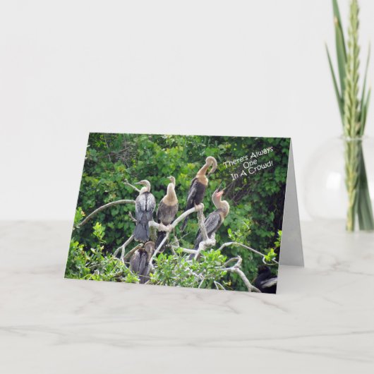 One In A Crowd - Anhinga Family Greeting Card カード (正面)
