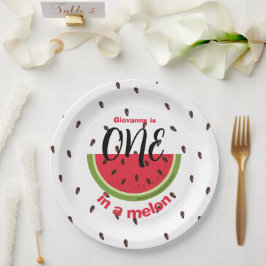 One in a Melon 1st Birthday Party ペーパープレート