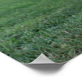 "One Legged Pose", Rooster ポスター (角)