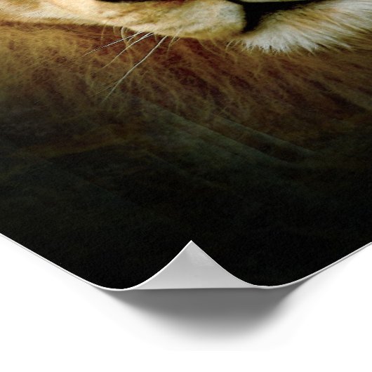 One Love Lion - Poster / Print ポスター (角)