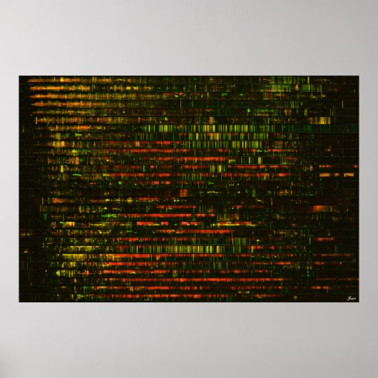 One Month of Sound: Poster ポスター (正面)