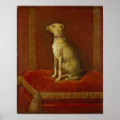 One of Frederick II's Italian greyhounds ポスター (正面)