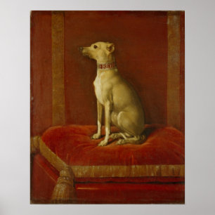 One of Frederick II's Italian greyhounds ポスター