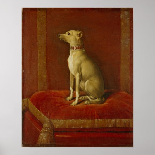 One of Frederick II's Italian greyhounds ポスター (正面)