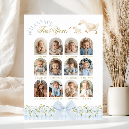 One Silly Goose Boy 1st Birthday Photo Milestone ポスター