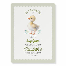 One Silly Goose Green Gingham 1st Birthday Welcome