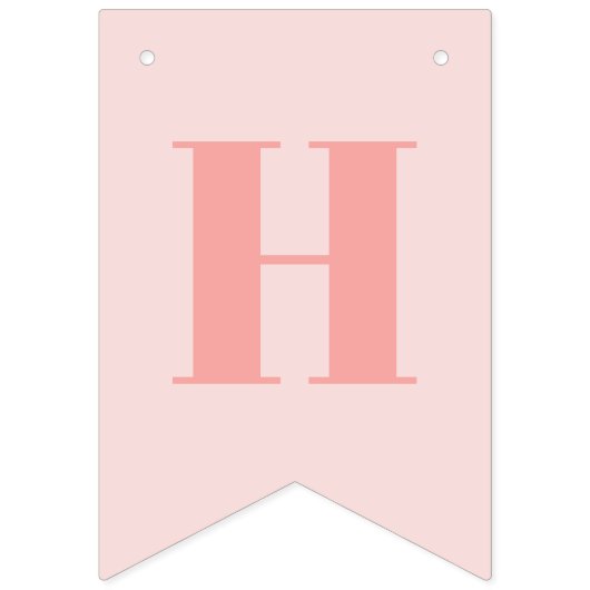 ONEderful バンティングフラッグ (第2の旗)