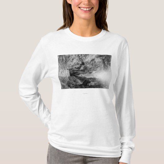 Oneontaの峡谷のPhotographColumbiaの川、または Tシャツ (正面)