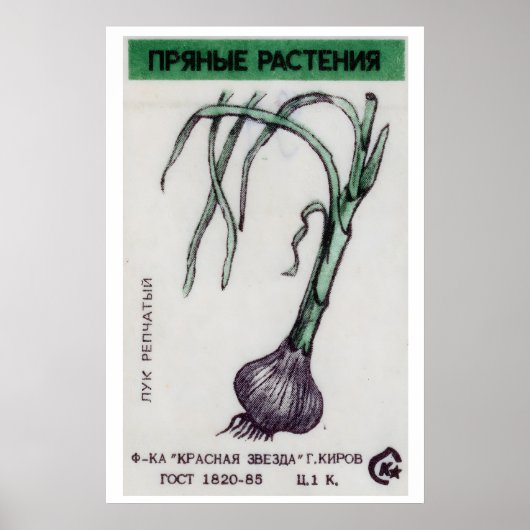 Onion Plant - Matchbox Print - Aesthetic Wall Art ポスター (正面)