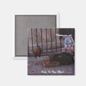 「Only In鍵West」ネコ&ルースターマグネット マグネット (正面/裏面)