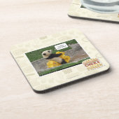 Onwurdのnobulの馬! コースター (左側)