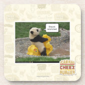 Onwurdのnobulの馬! コースター (正面)