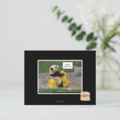 Onwurdのnobulの馬! ポストカード (スタンド正面)