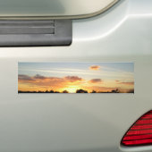 Ooh WOW バンパーステッカー (車上)