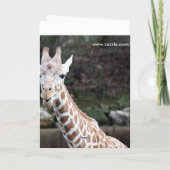 Ooohのより古くなる誰か! カード (裏面)