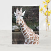 Ooohのより古くなる誰か! カード (黄色い花)