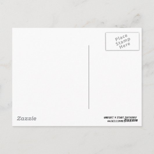 Oopsコーヒーの汚れと水こぼれ ポストカード (裏面)