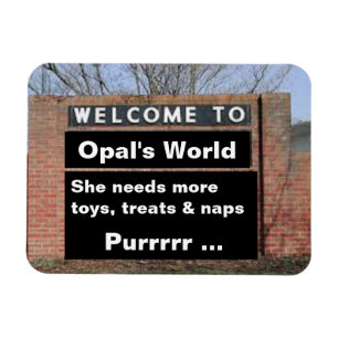 Opalの世界のフレキシブル磁石へようこそ マグネット