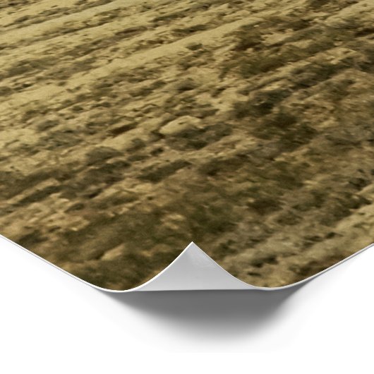 Open Country ポスター (角)