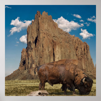 Open Country ポスター