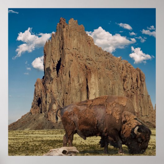 Open Country ポスター (正面)