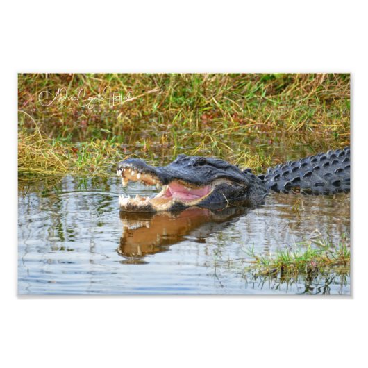 Open Mouth フォトプリント (正面)